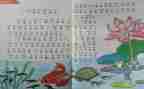 初二数学个人教学工作总结6篇