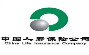 中国人寿经理述职报告5篇