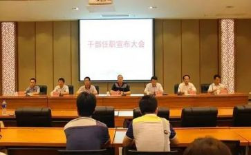 任职以来个人工作总结5篇