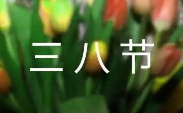 三八妇女节幼儿园活动总结范文8篇