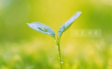 幼儿小班三月份工作总结7篇
