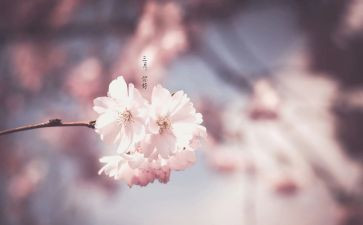 三月幼儿园小班工作总结范文5篇