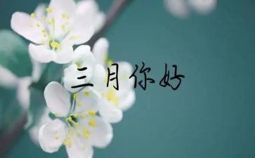 三月份教师月总结7篇
