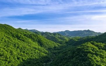 小学生绿山墙的安妮读后感6篇