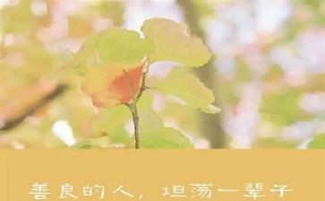 99公益日慈善活动方案7篇