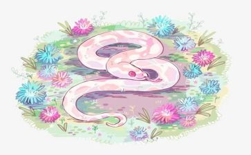 遇见蛇作文500字作文7篇