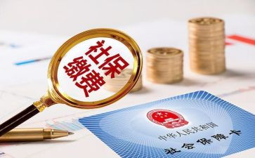省社保工作总结8篇