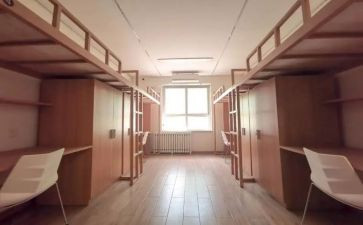 学校宿舍管理员个人总结7篇