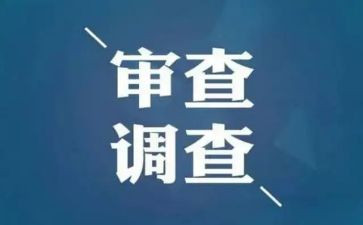 审查察工作总结5篇