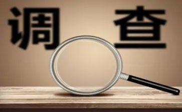 审查报告和调查报告8篇