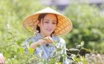 生活班工作总结优质6篇