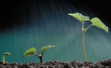 珍爱生命主题教育教案6篇