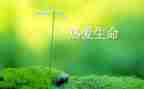 2024年关于生命的作文优质6篇