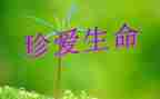 2024年关于生命的作文最新6篇