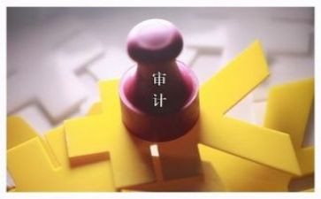 2024年审计个人总结优质8篇