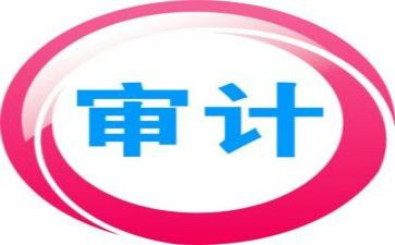 领导审计讲话稿6篇