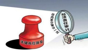 2024年审计局个人总结6篇