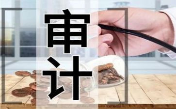 审计工作上半年总结5篇