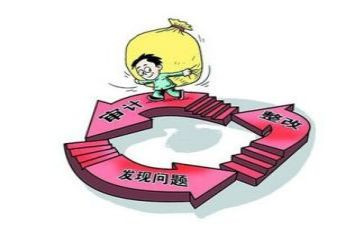 审计工作年度总结模板5篇