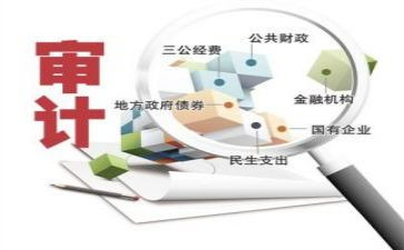 审计报告的调查报告8篇