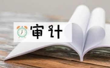 内部审计股工作总结6篇