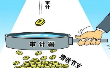内部审计股工作总结优质7篇