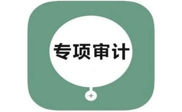 调查报告和审计报告6篇
