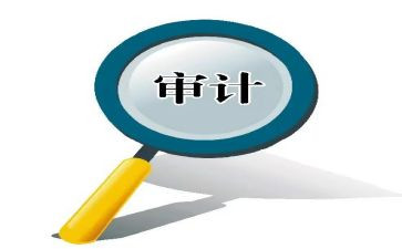 总审计师述职报告5篇