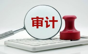 2024年审计个人总结工作总结通用5篇