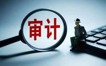 审计而工作总结个人精选8篇