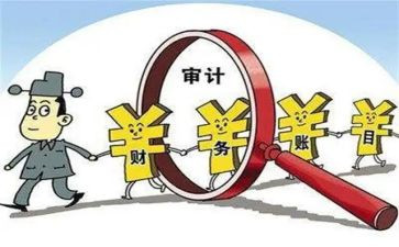 2024年审计个人总结模板7篇