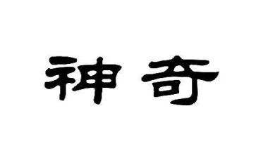 神奇的音乐作文8篇