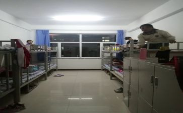 舍务委工作计划8篇