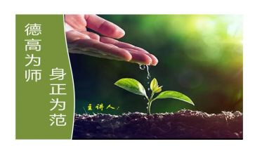 师德师风年度总结精选6篇