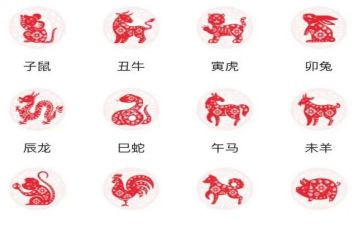 幼儿园大班十二生肖教案参考6篇