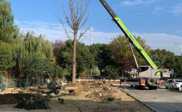 施工2023年工作计划参考6篇