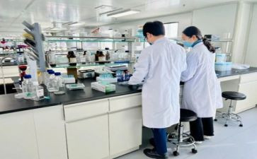 在实验室工作总结报告7篇