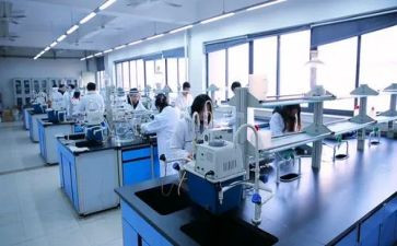 在实验室工作总结优质6篇