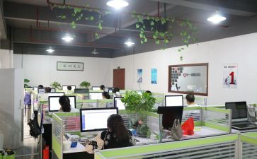 售服部工作总结6篇