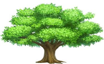 社区植树活动方案优质6篇