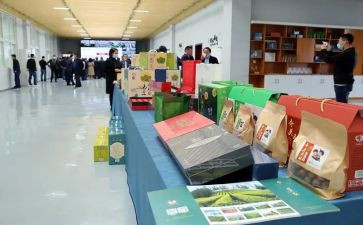 双有活动工作总结模板6篇