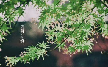 四月积极分子思想汇报8篇