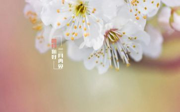 中班四月工作总结5篇