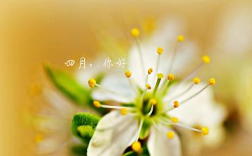 幼儿园四月度工作总结最新5篇