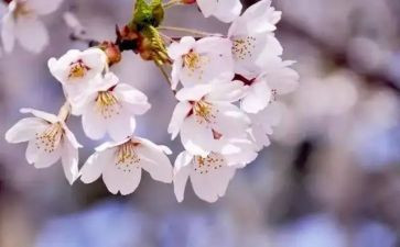 四月份幼师工作总结6篇