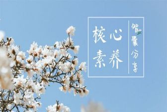 教师素养心得体会通用7篇