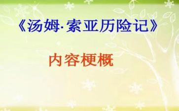 汤姆·索亚历险记作文6篇