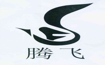 腾飞吧中国的演讲稿5篇