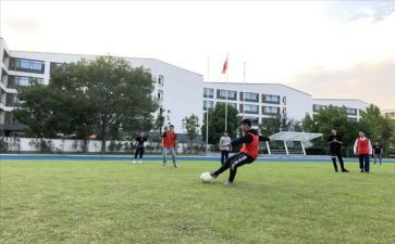 小学上学期体卫艺工作计划7篇