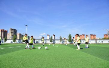 2024学校体卫艺工作总结6篇